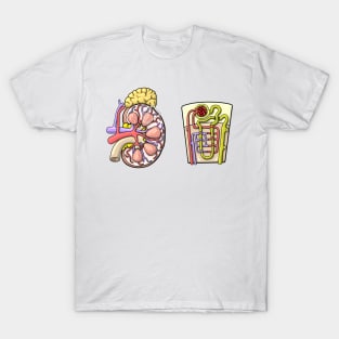 Human Kidney Renal Anatomy Illustration T-Shirt